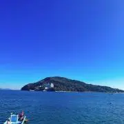 バターFlyの画像