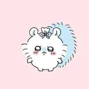 きゃんの画像