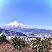 断捨離たまちゃんの画像