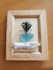 そらまめの画像