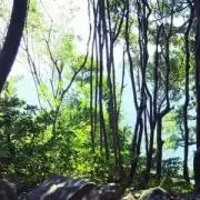みっふぃの画像