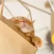 うみの画像