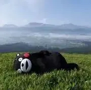 くまモン