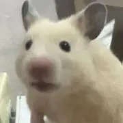 ちえる