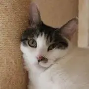 ma023の画像