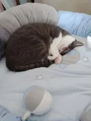 ゆんゆ プロフに注意事項⚠️