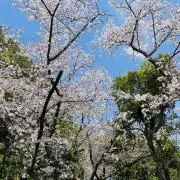 町のサイクル屋の画像