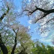 まちの画像