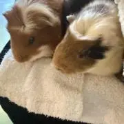 そらの画像