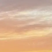 Ellaの画像