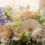 kmの画像