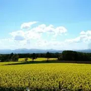 ·*B.BLOOM*·の画像