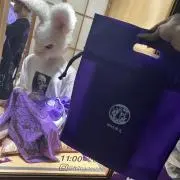 1kidsmama