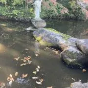 鶴の画像