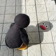 Yの画像