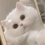 ♡の画像