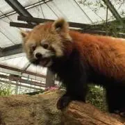 月光  プロフ必読！！お願い！の画像