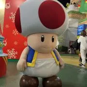 キノピオの画像