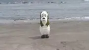 (๑╹ω╹๑ )の画像