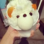 lei-shell