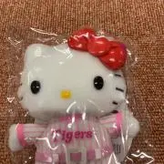 ライムの画像