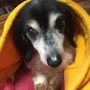 noa☆★プロフ必読☆★の画像