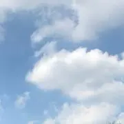 SUの画像