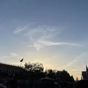 まるまの画像