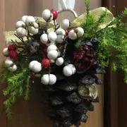 リボンオリオンの画像
