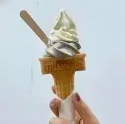 ゆみこの画像
