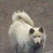 紅葉   秋