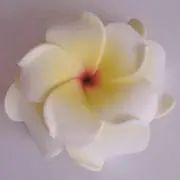 COCOMOSの画像