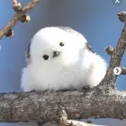 ひろの画像