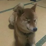 みなまい※プロフ必読!!の画像