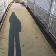 mochaの画像