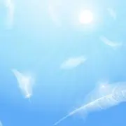 tsubasa2o16o31o