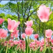 くるみ❣️プロフ読んで質問購入して下さいの画像