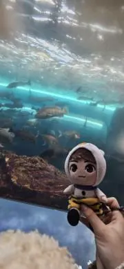 あかさたな(*^^*)の画像