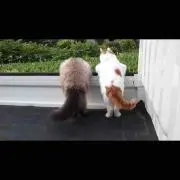 なおみ