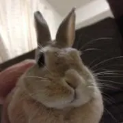 えりある