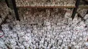 ねこの画像