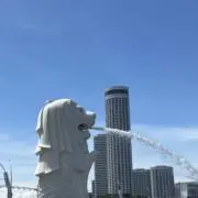 shikishikiの画像