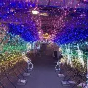 売り尽くしセール価格販売中の画像