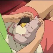 koumeの画像
