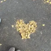 るなの画像