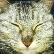 プロフ確認 ひでぽんの画像