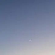 miiの画像