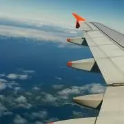 さくら