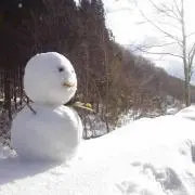ハル