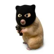 HamHam